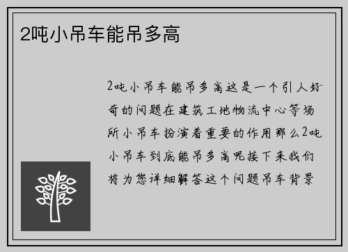 2吨小吊车能吊多高