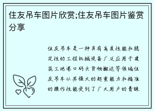 住友吊车图片欣赏;住友吊车图片鉴赏分享